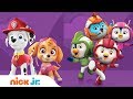 PAW Patrol Top Wing Blaze Peppa Pig Nick Jr