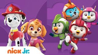 PAW Patrol 🐶 Top Wing 🐤 Blaze 🚗 &amp; Peppa Pig 🐷  | Nick Jr.