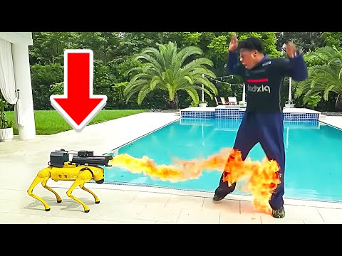 Ishowspeed 100k Robot Dog Get Freaky