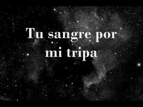 Por Mi Tripa video