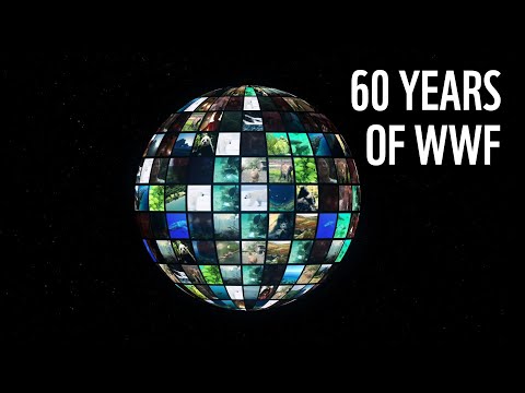 世界自然基金會60年來做了什麼？| 世界自然基金會 (What has WWF done in 60 years? | WWF)