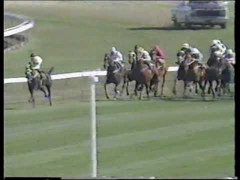 1989 Spring Champion Stakes