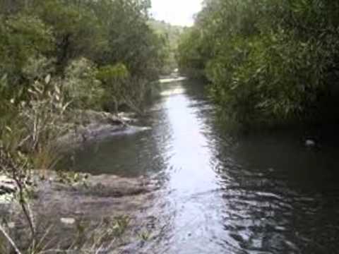 Los olimareños -Flor del bañado