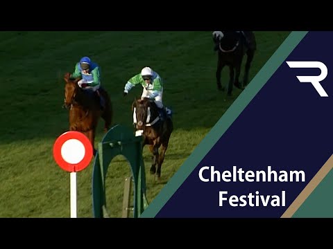 Cheltenham Festival HEARTBREAK! Merchants Friend has victory snatched away in the 2004 Kim Muir