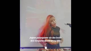 Download lagu story wa dj Tessa Morena lagu adu mamae mp3