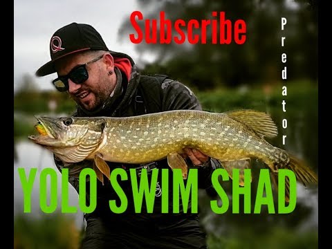 Quantum Yolo Swim Shad - Pike fishing