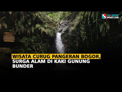 Wisata Curug Pangeran Bogor: Surga Alam di Kaki Gunung Bunder TNGHS