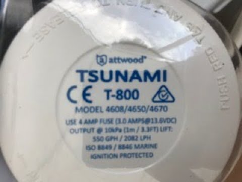 attwood T800 live well pump