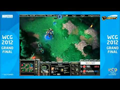 WCG 2012 Steelseries.Fly vs WE.Pepsi.TeD 1set [ENG]