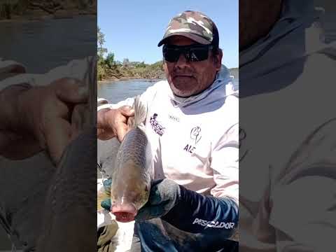 hermoso día de pesca en bella vista corrientes