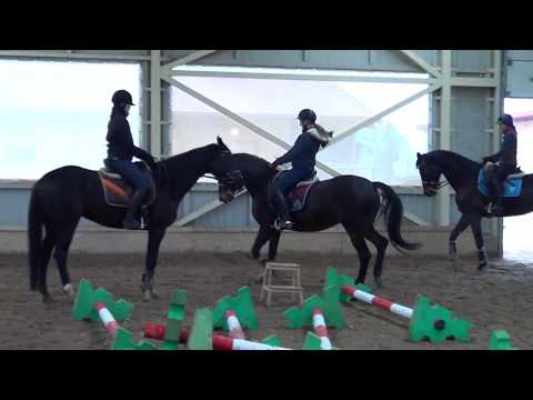 Emilija ir Lafontenas MG 2018 02 03