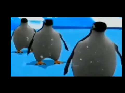 Pinguim Dançando 😎👍