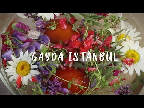 Gayda İstanbul - "Mome Mari Mome/Sar Beni Sar"
