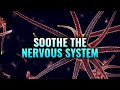 Soothe the Nervous System - Heal Your Vagus Nerve, Nerve Healing Binaural Beats - Nerve Regeneration