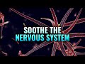Soothe The Nervous System Heal Your Vagus Nerve Nerve Healing Binaural Beats Nerve Regeneration