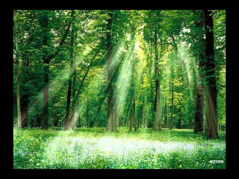 Vangelis Voices Ask to the Mountains