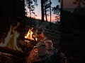 Brewing Memories Under A Forest Sky 4