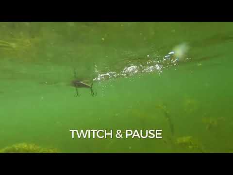 Vídeo Isca Rapala Skitter Prop SPR-7