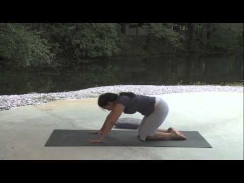 "Yoga Essentials-Full Practice" DVD:  Clip of Yoga Routine