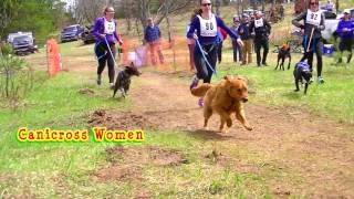 2017 Trout Festival Dryland Dog Derby Men Women Canicross