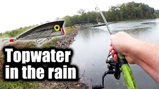 Bass Fishing With Topwater IN THE RAIN (Do Bass Bite In The Rain?)