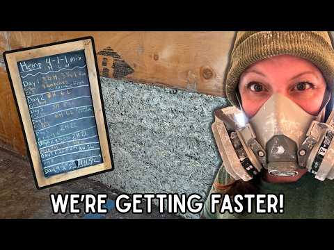 Будівництво будинку з конопляного бетону – досвід Eco Endeavour