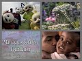 PTV Park Program Break 1999 IPTV 16 Incomplete