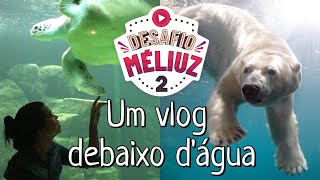 VLOG NO AQUÁRIO DE SÃO PAULO - @BARBSROOCHA #desafiomeliuz