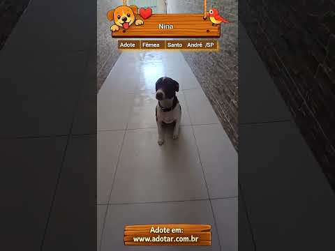 Vídeo de Nina