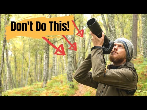 DON'T DO THIS | Wildlife Photography Tips & Tricks 2 min