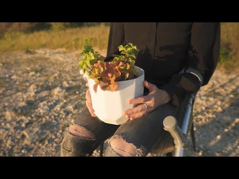 Emily Barker - White Geraniums (Official Music Video)