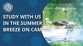 Study with us in the summer on campus