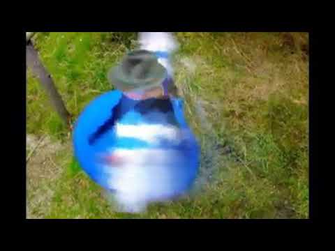 Wiñay Kayambis (AÑO 2009)