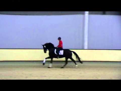 DeLorean v. Dancier - Weltmeyer