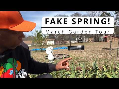 Fake Spring March Garden Tour