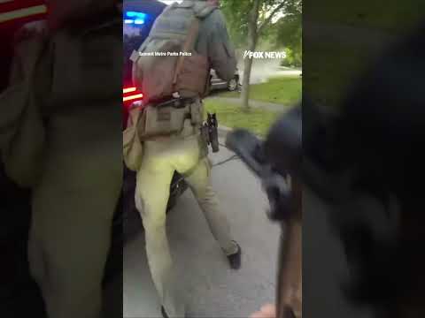 Attempted murder suspect leads police on CHASE across GOLF COURSE #shorts #us #news #foxnews
