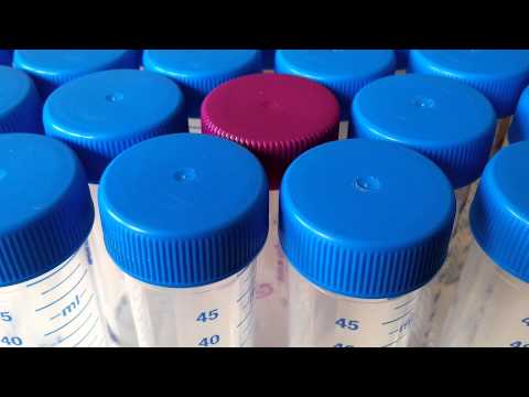 Phuturelabs – Experiment 38 on Radio Magnetic