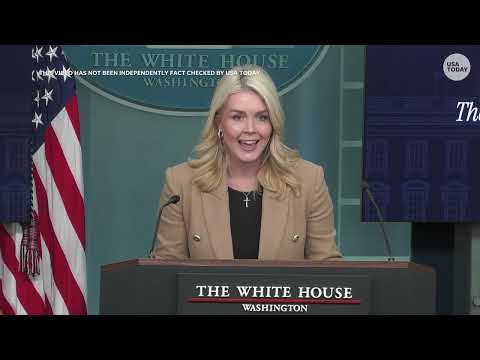 Karoline Leavitt attacks journalist amid question about ICE agents after Renee Good shooting