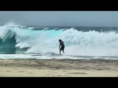 Florida Boy visualizer/ Staxx Surfing Mexico 🇲🇽 