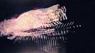 Night Drive - Rise and Fall (Official Video)