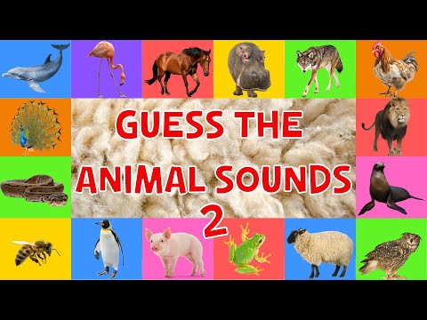 Guess The Animal Sounds 2 For Kids | 4K