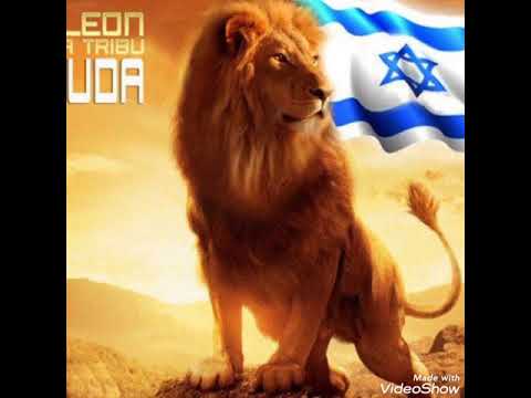 "𝗟𝗹𝗲𝘃𝗮𝗺𝗲 𝗮𝗹𝗹𝗮"  || 𝗧𝗵𝗲 𝗹𝗶𝗼𝗻 𝗼𝗳 𝗝𝘂𝗱𝗮𝗵 𝗲𝗻 𝗲𝘀𝗽𝗮𝗻̃𝗼𝗹