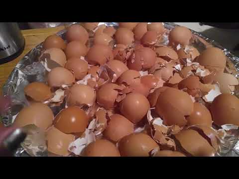 Cómo hacer calcio con cáscara de huevo