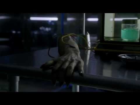 The Beastly Hand.....Gabe??? (BATB)