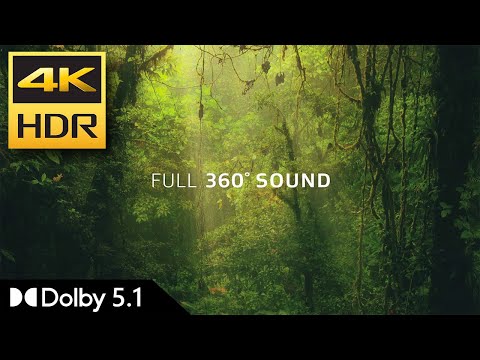 4K HDR | Amaze (Pre-Show Trailer for Dolby Atmos) | Dolby 5.1