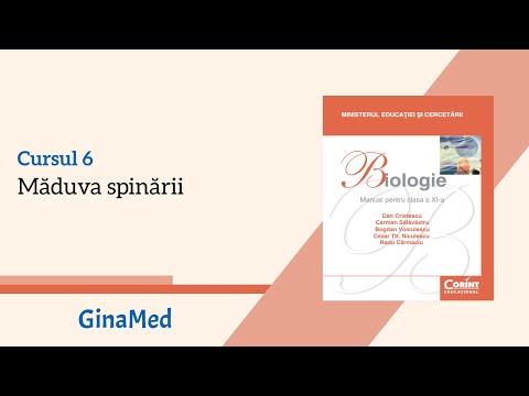 Biologie CORINT: C6. Măduva spinării - LIVE ADMITERE MEDICINĂ
