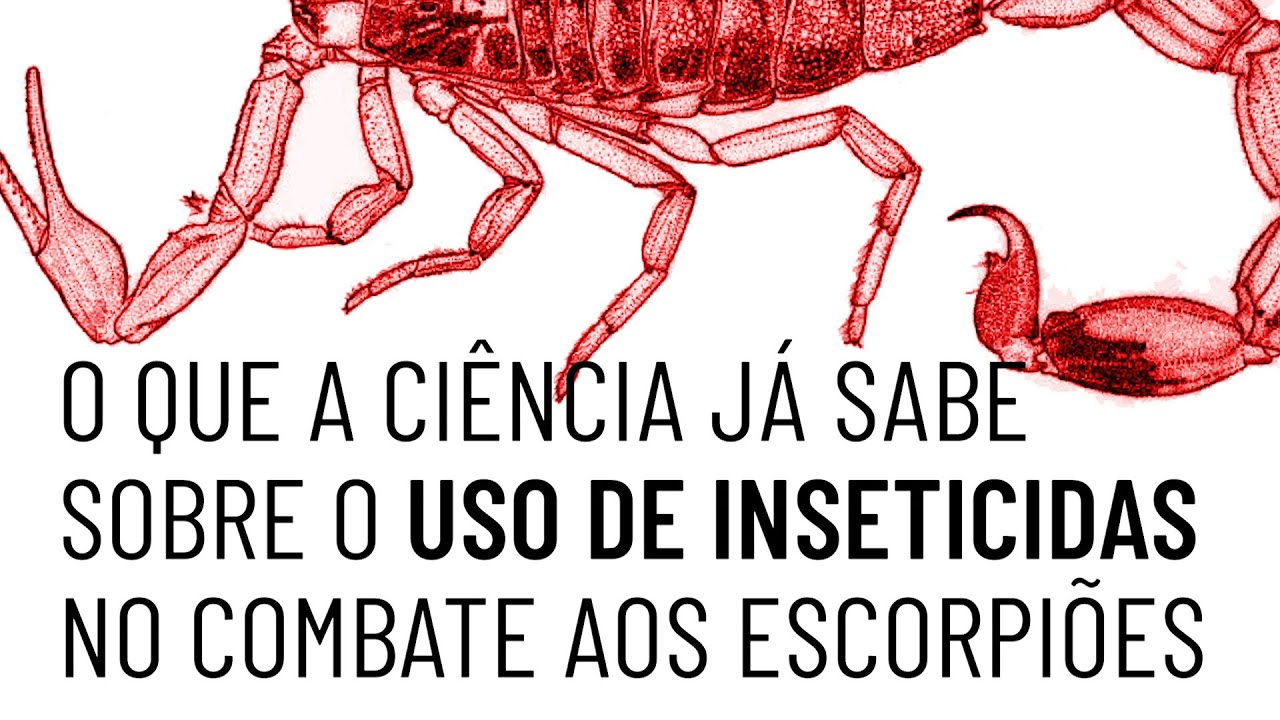 O que a ciência já sabe sobre o uso de inseticidas no combate aos escorpiões