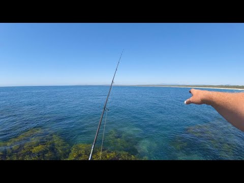 How to catch Squid On Lures Off The Rocks