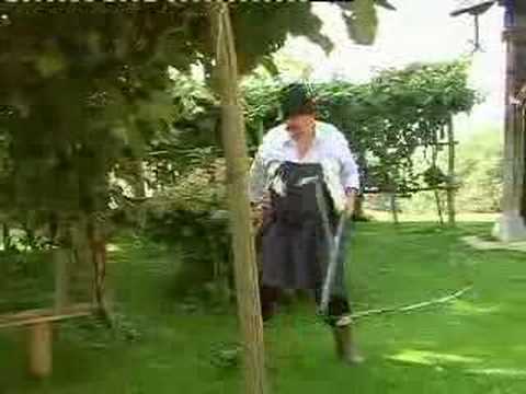 Jurka, šmarnica, klinton