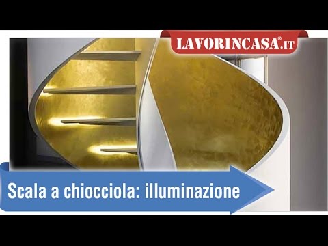 Plasmi parassiti di funghi di lievito di funghi Questo per parassiti in una cavalletta